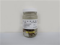 藏品(白頭翁)的圖片